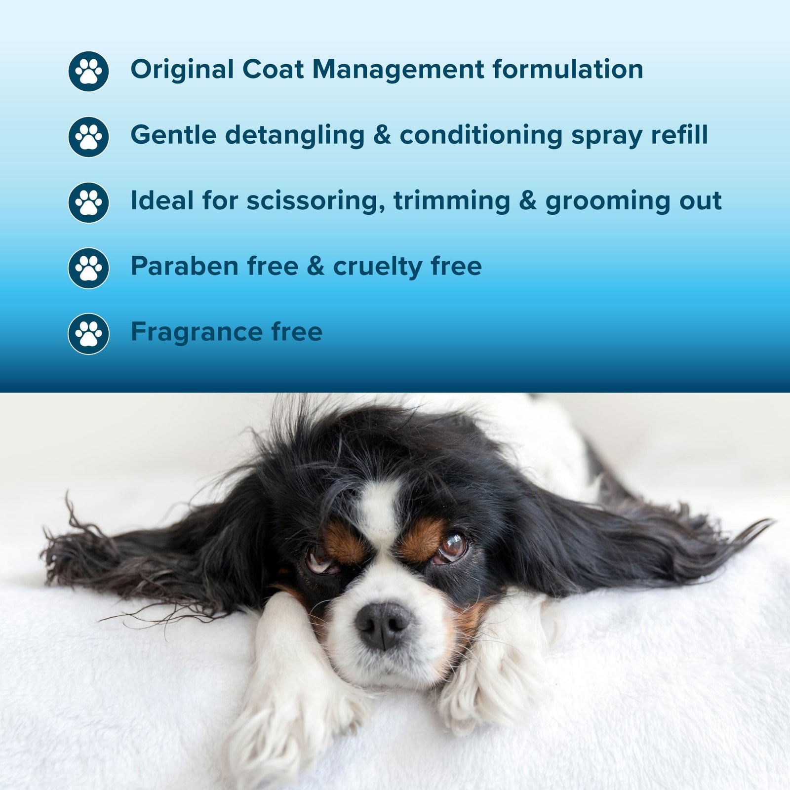 Coat Management Spray Refill 1L