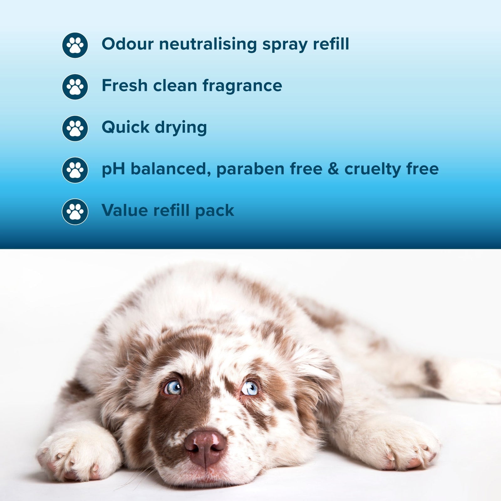 Coat Deodorising Spray Refill 1L