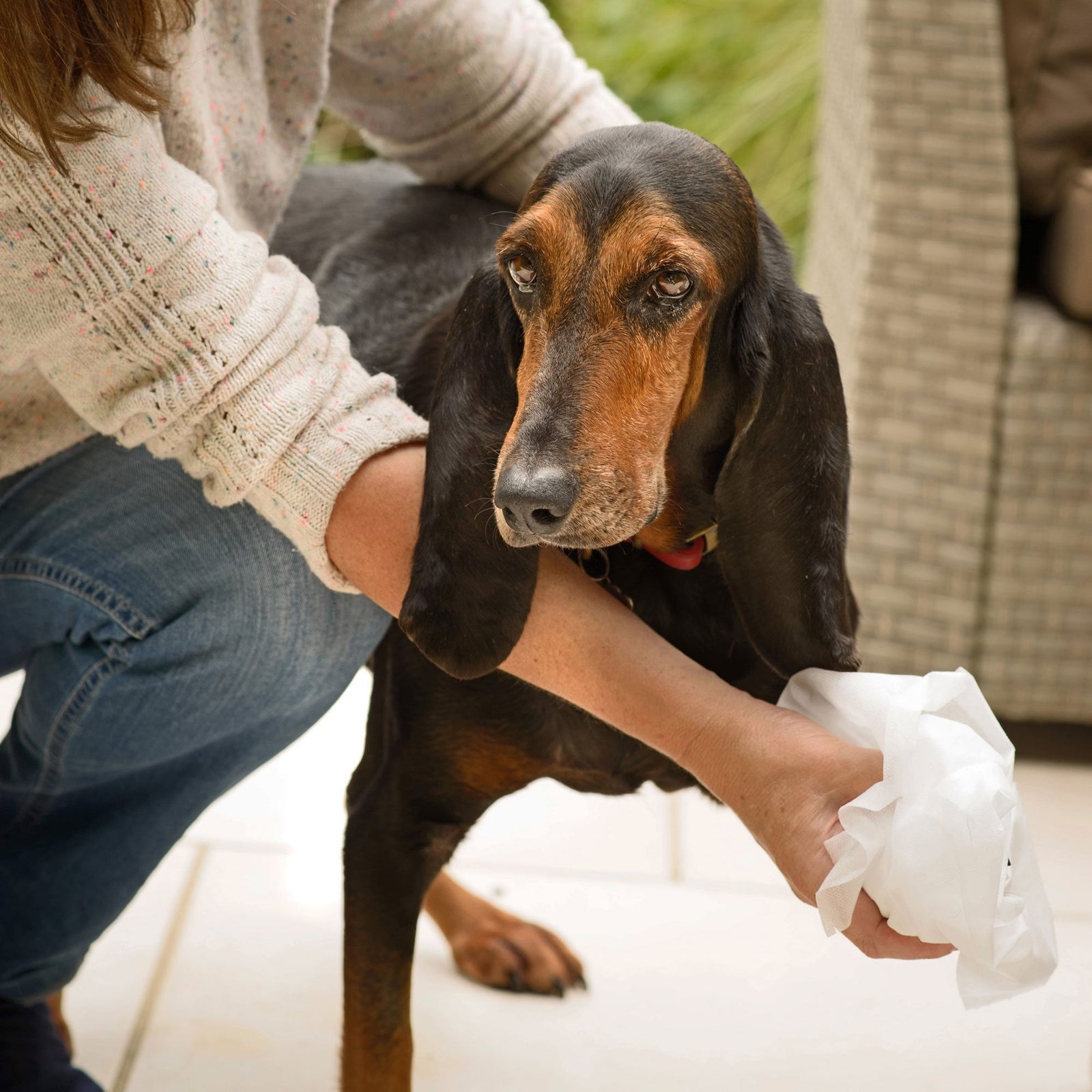 Aqueos Disinfectant Wipes
