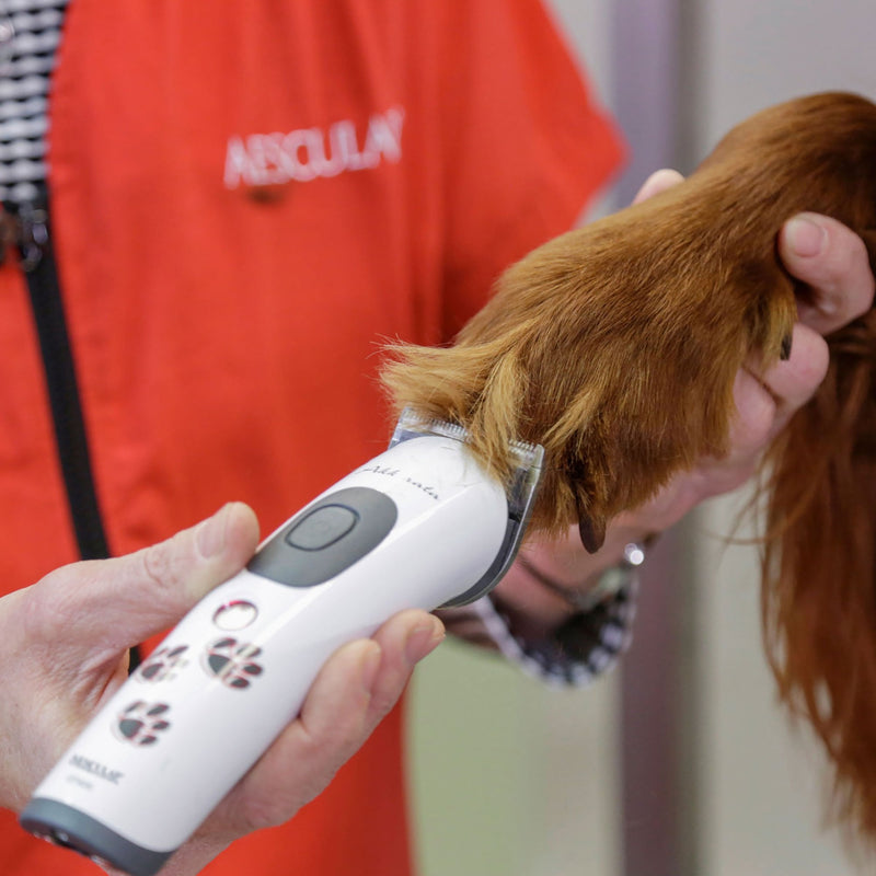 Aesculap Akkurata Cordless Trimmer