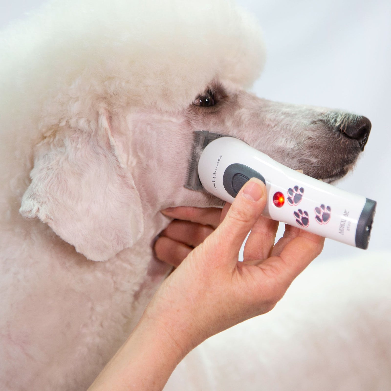Aesculap Akkurata Cordless Trimmer