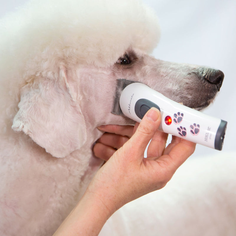 Aesculap Akkurata Cordless Trimmer