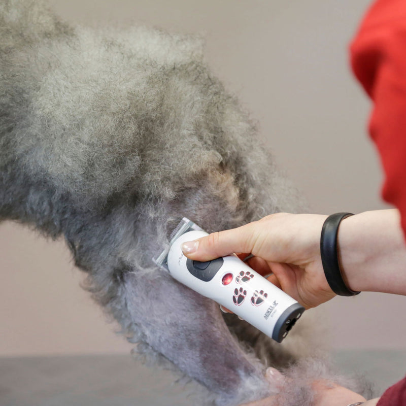 Aesculap Akkurata Cordless Trimmer