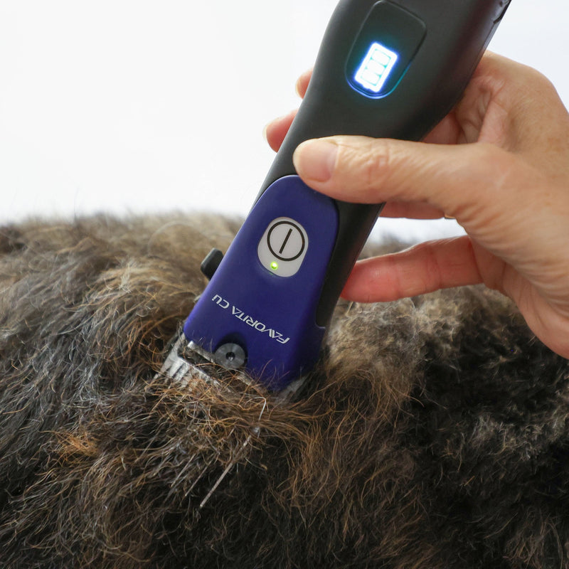Aesculap Favorita CLi Cordless Clipper