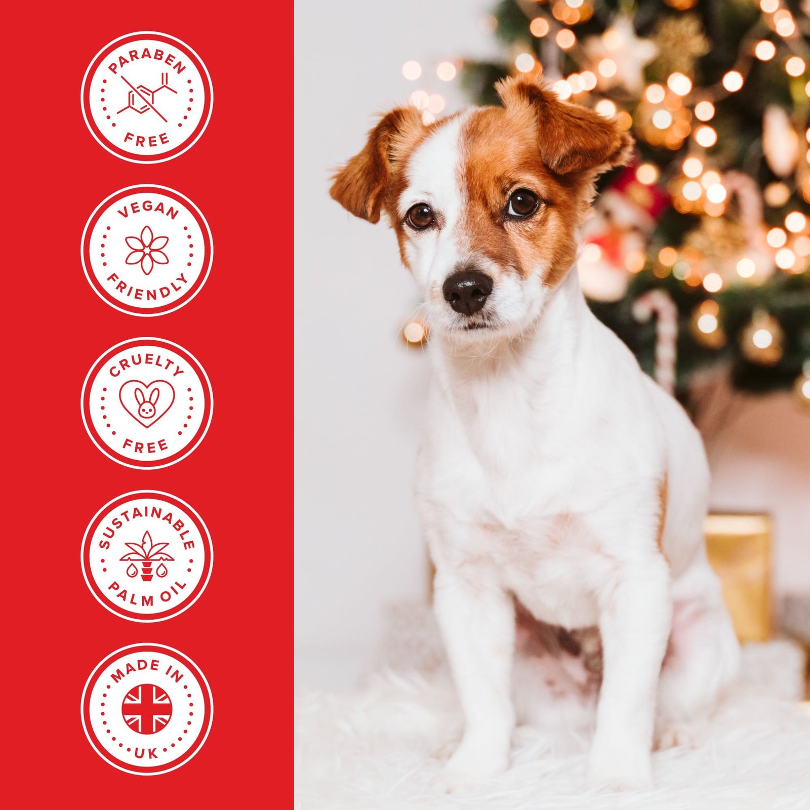 Groomers Festive Ginger Spice Fragrance Spray