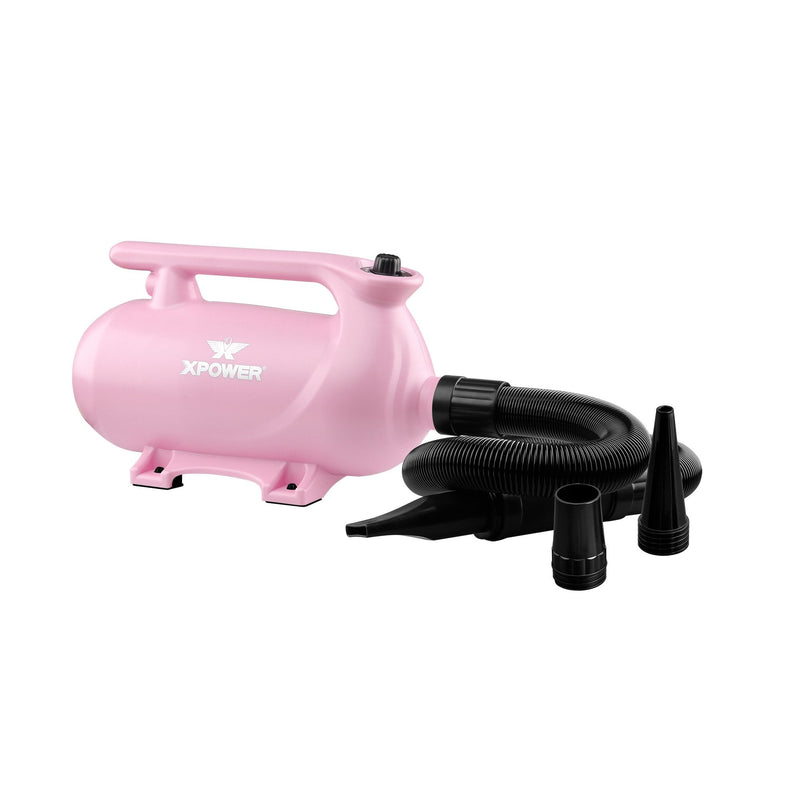 XPower B-163 Double Motor High Velocity Blaster