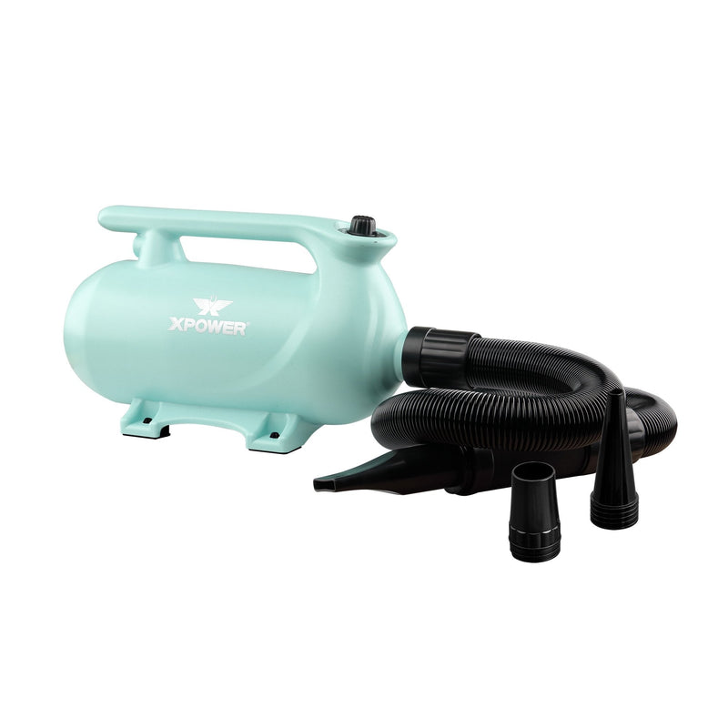 XPower B-163 Double Motor High Velocity Blaster