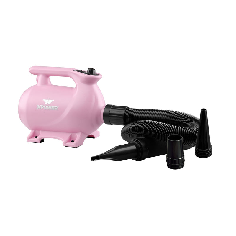 XPower B-123 High Velocity Dryer