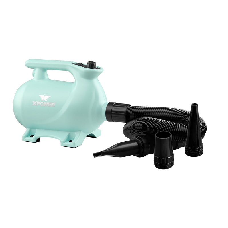 XPower B-123 High Velocity Dryer