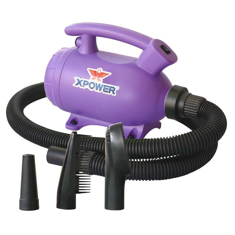 XPower B-55 Compact 2-in-1 Dryer and Vacuum