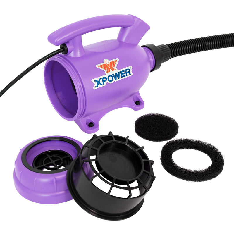 XPower B-55 Compact 2-in-1 Dryer and Vacuum