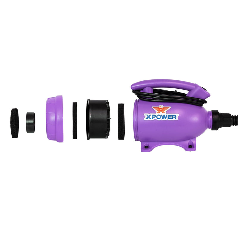 XPower B-55 Compact 2-in-1 Dryer and Vacuum