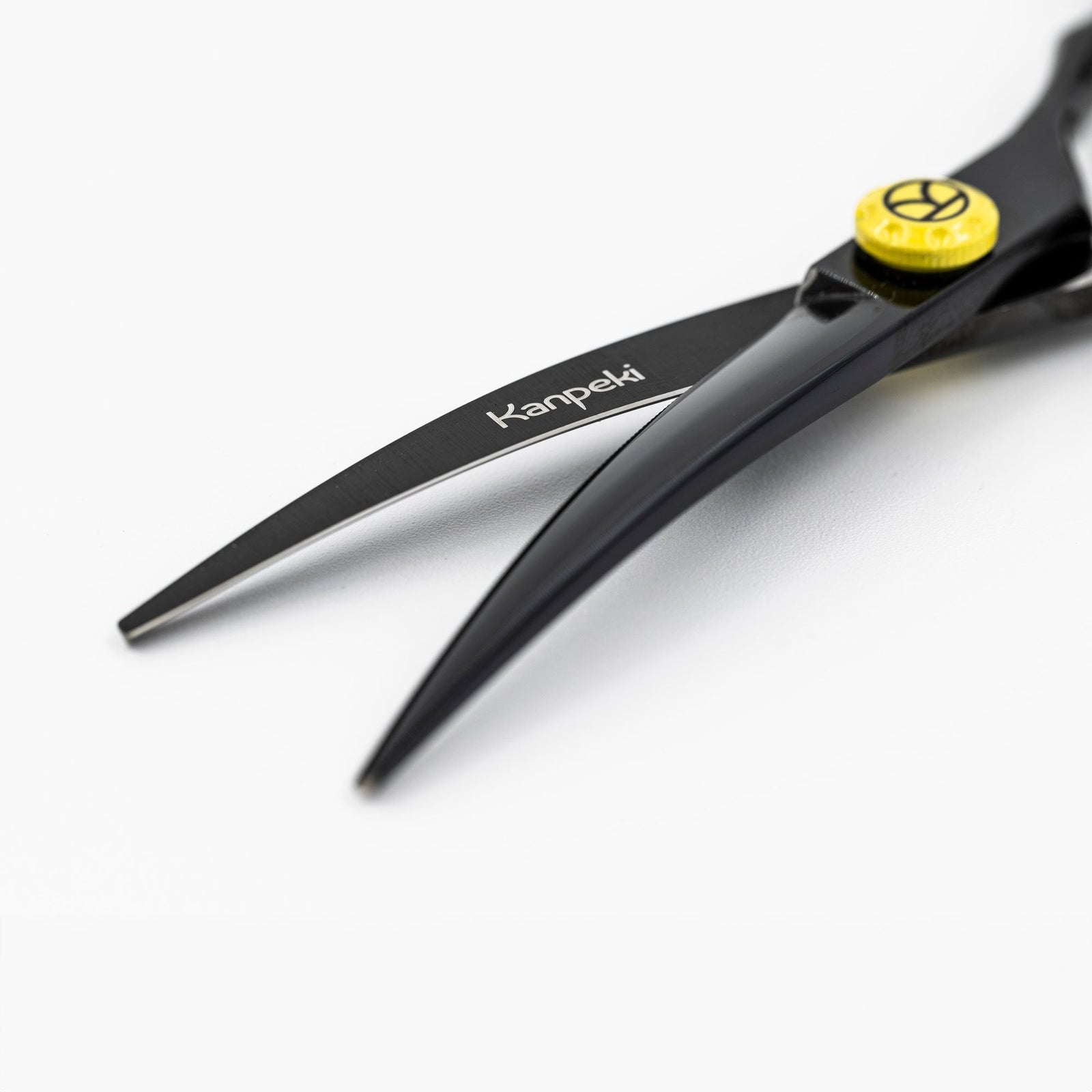 Kanpeki Blackbird 5.5” Curved Scissor