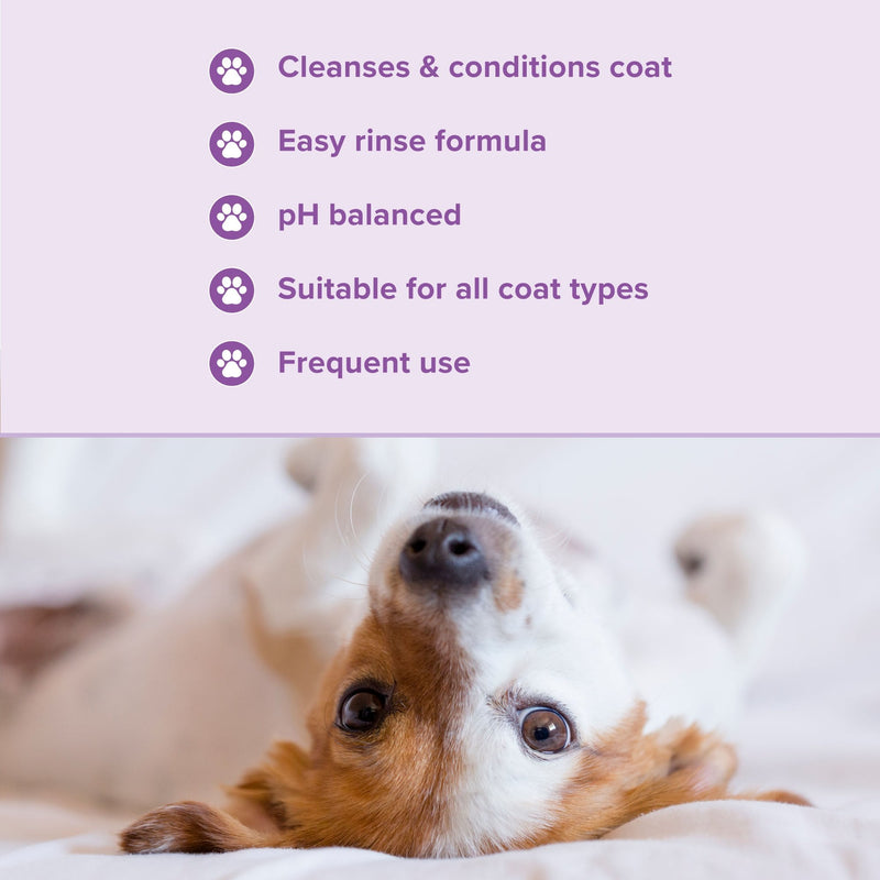 Groomers Everyday Warm Powdery Shampoo