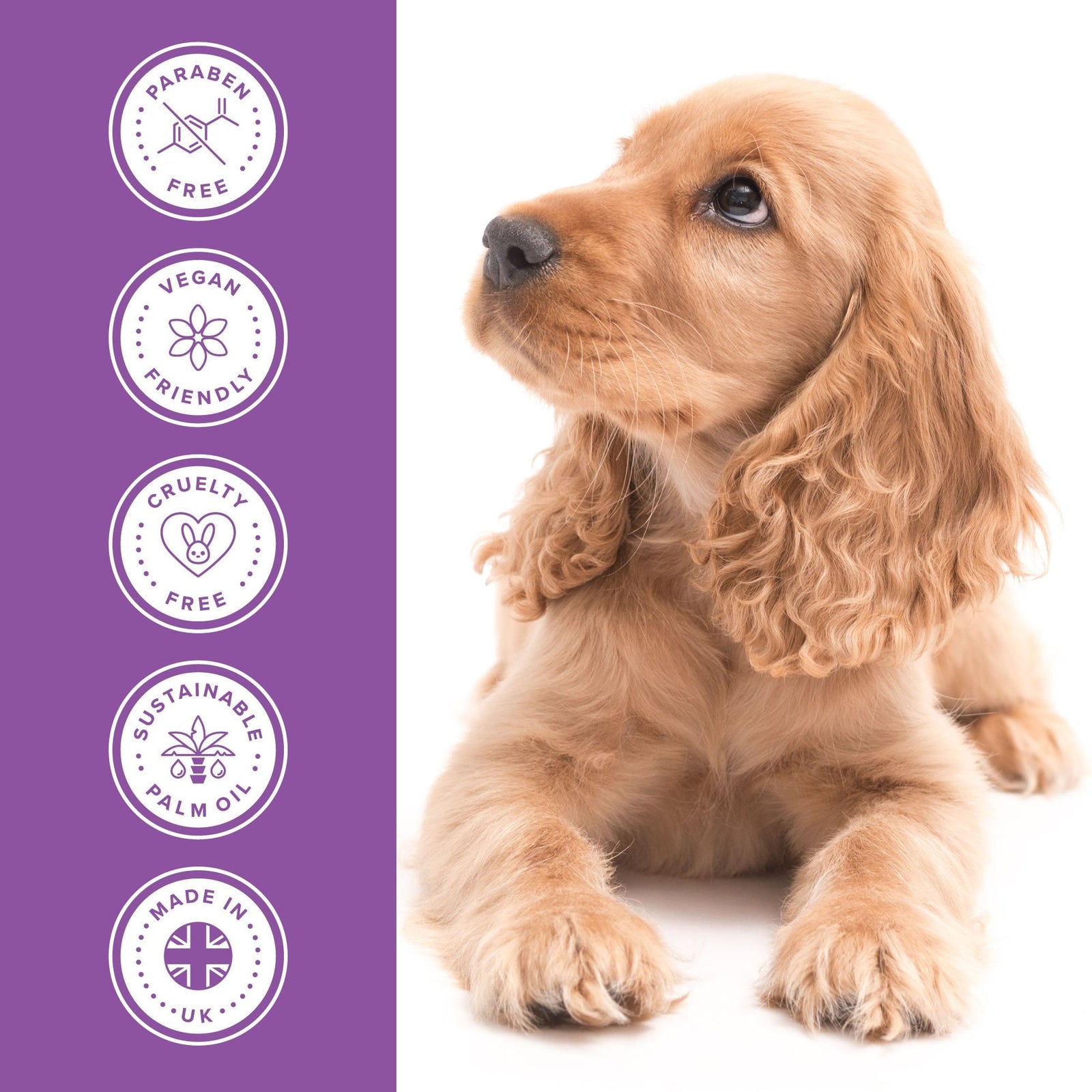 Groomers Everyday Warm Powdery Shampoo