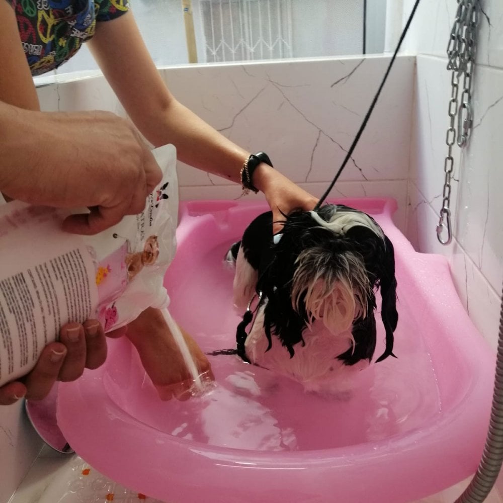 Warren London Cleopatra's Doggy Bath Milk