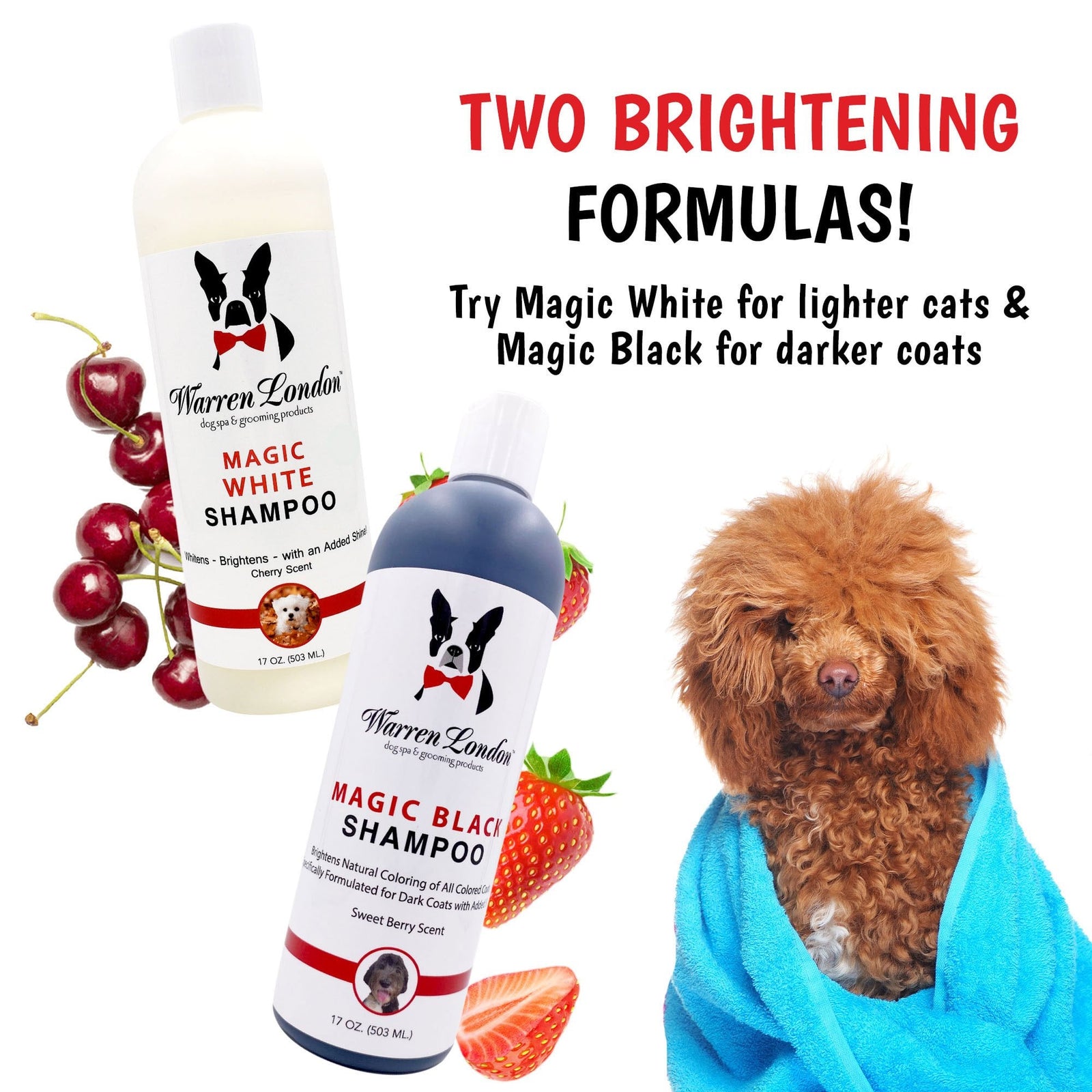 Warren London Magic Black Shampoo 503ml