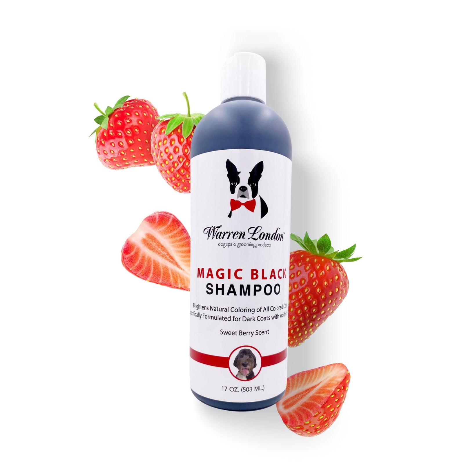 Warren London Magic Black Shampoo 503ml