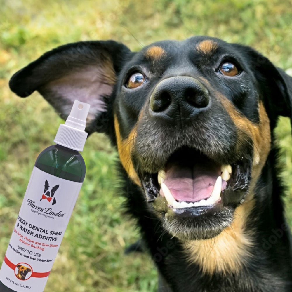 Warren London Doggy Dental Spray & Water Additive 240ml