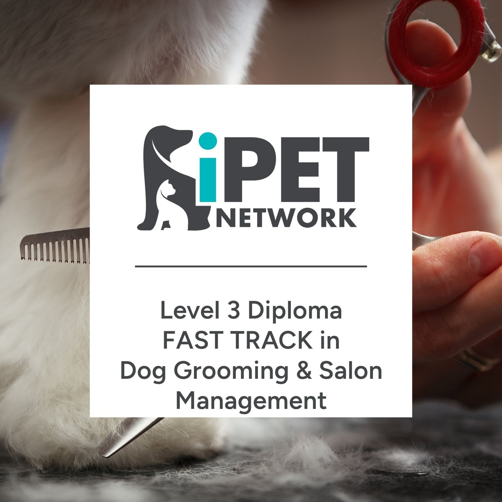 iPET Network Level 3 FAST TRACK Diploma in Dog Grooming and Salon Management