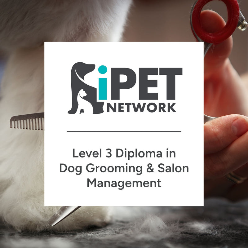 iPET Network Level 3 Diploma in Dog Grooming and Salon Management