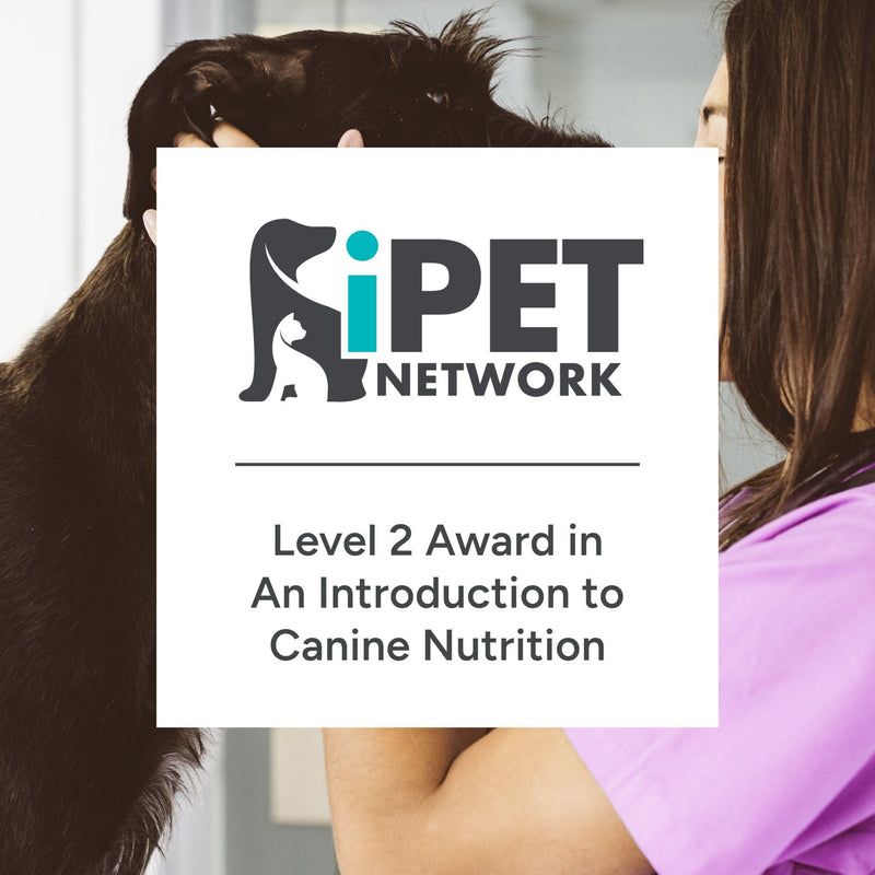 iPET Network Level 2 Award in An Introduction to Canine Nutrition
