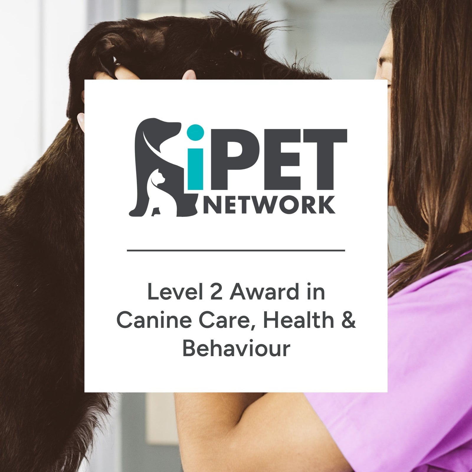 iPET Network Level 2 Award in Canine Care, Health and Behaviour
