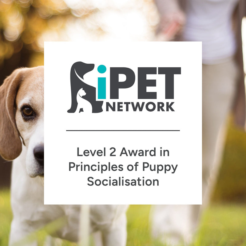 iPET Network Level 2 Award in Principles of Puppy Socialisation