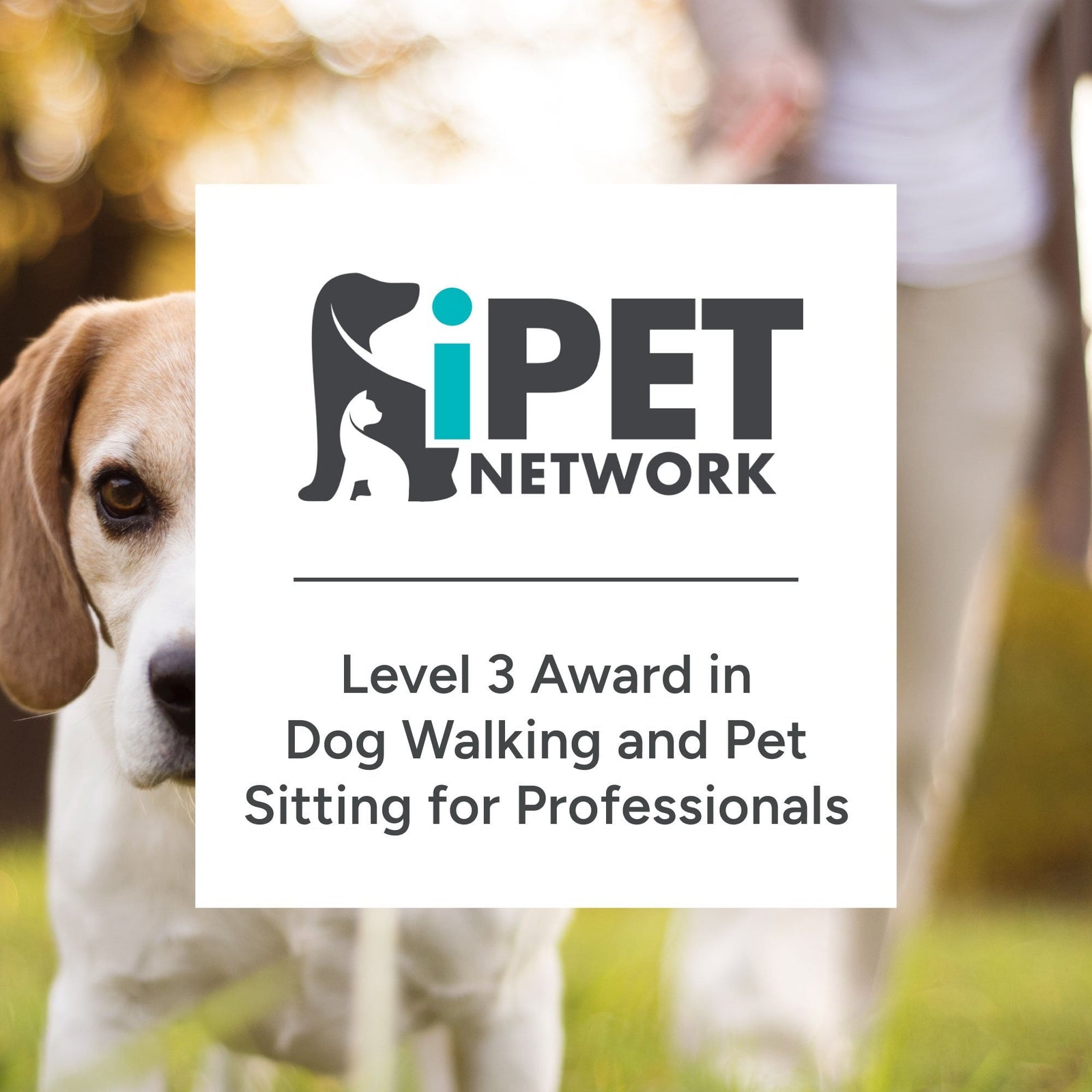 iPET Network Level 3 Award in Dog Walking and Pet Sitting for Professionals