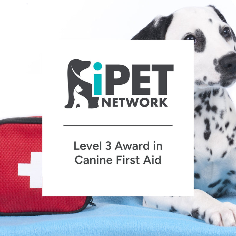 iPET Network Level 3 Award in Canine First Aid