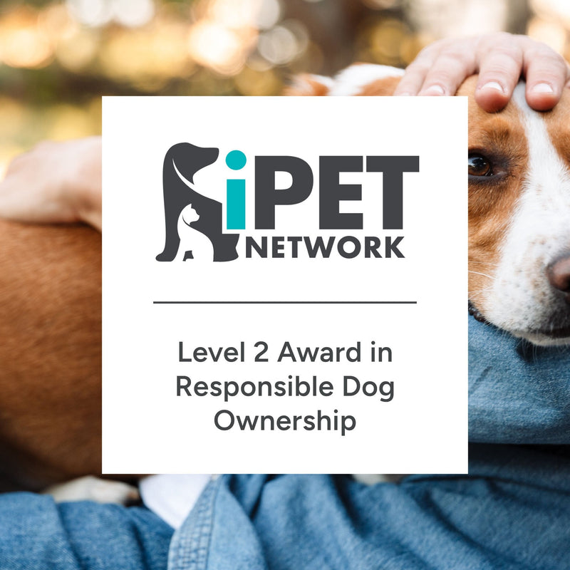 iPET Network Level 2 Award in Responsible Dog Ownership