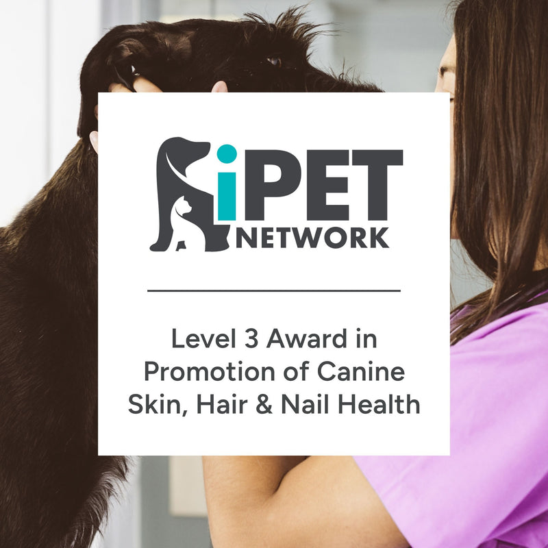 iPET Network Level 3 Award in Promotion of Canine Skin, Hair and Nail Health