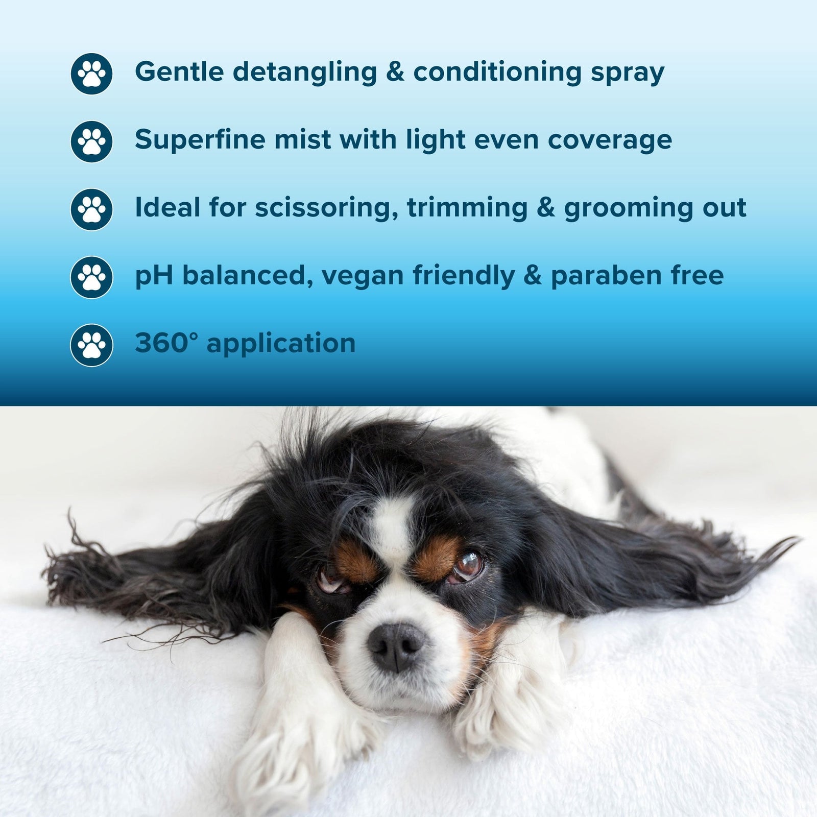 Coat Management Spray 300ml