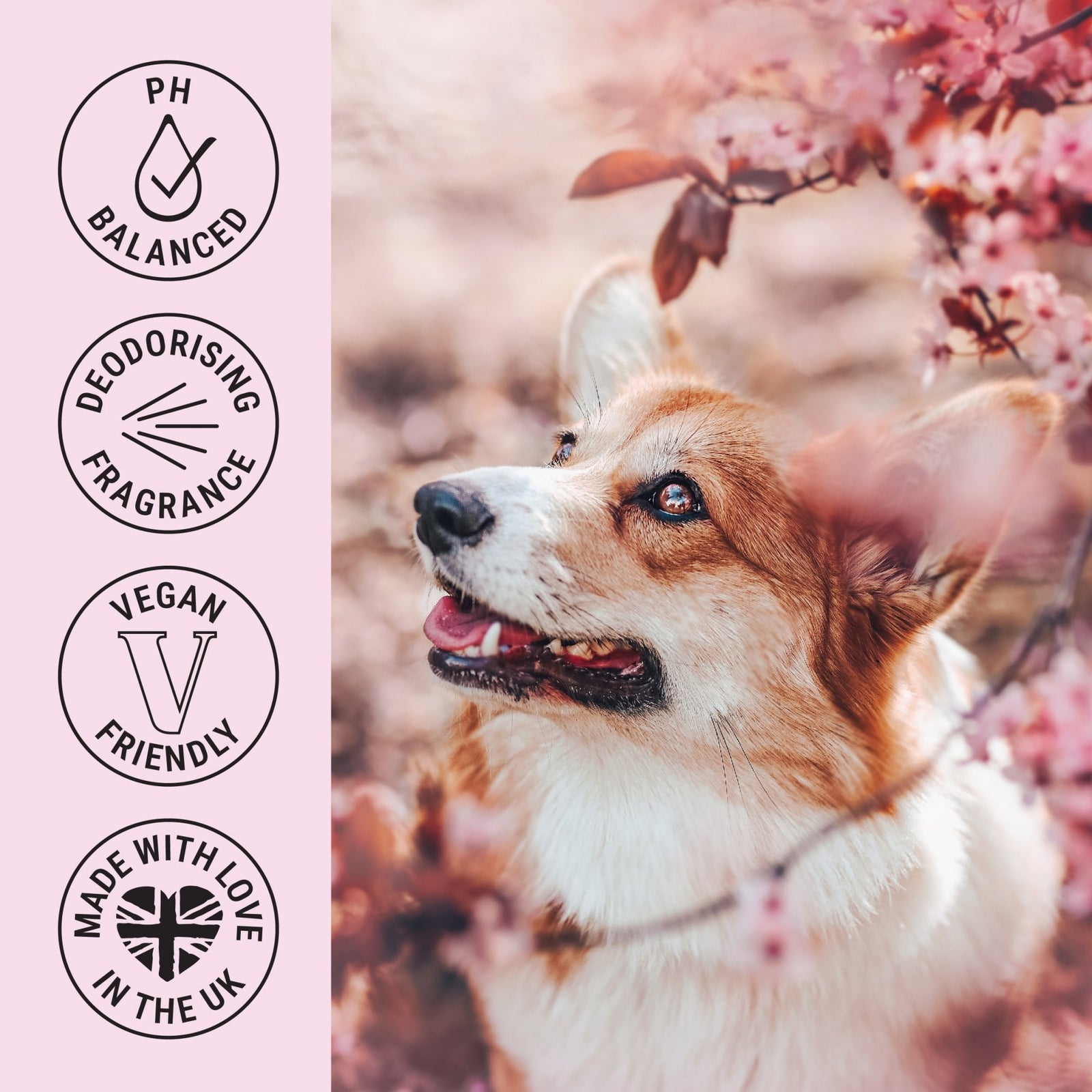 My Dog Spa Deodorising & Conditioning Dog Fragrance Spray 100ml – Fleur