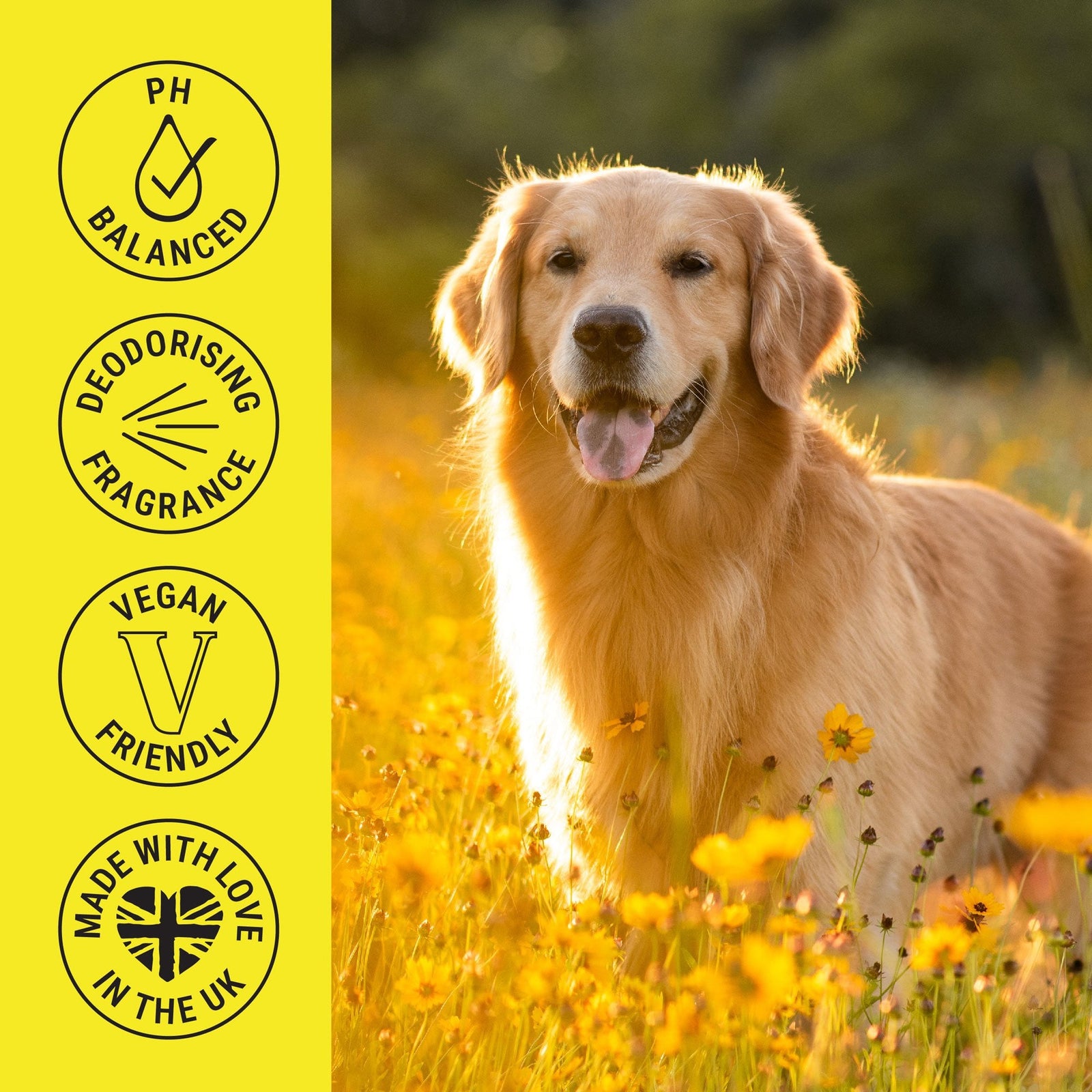 My Dog Spa Deodorising & Conditioning Dog Fragrance Spray 100ml – Daisy