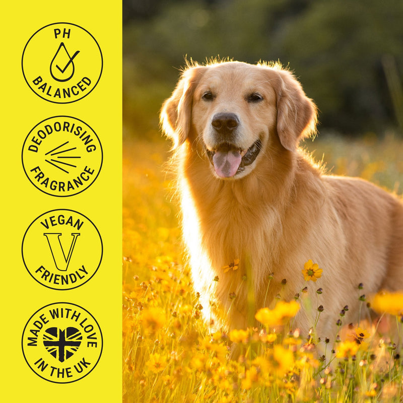 My Dog Spa Deodorising & Conditioning Dog Fragrance Spray 100ml – Daisy