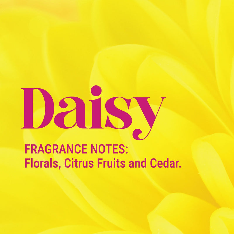 My Dog Spa Deodorising & Conditioning Dog Fragrance Spray 100ml – Daisy