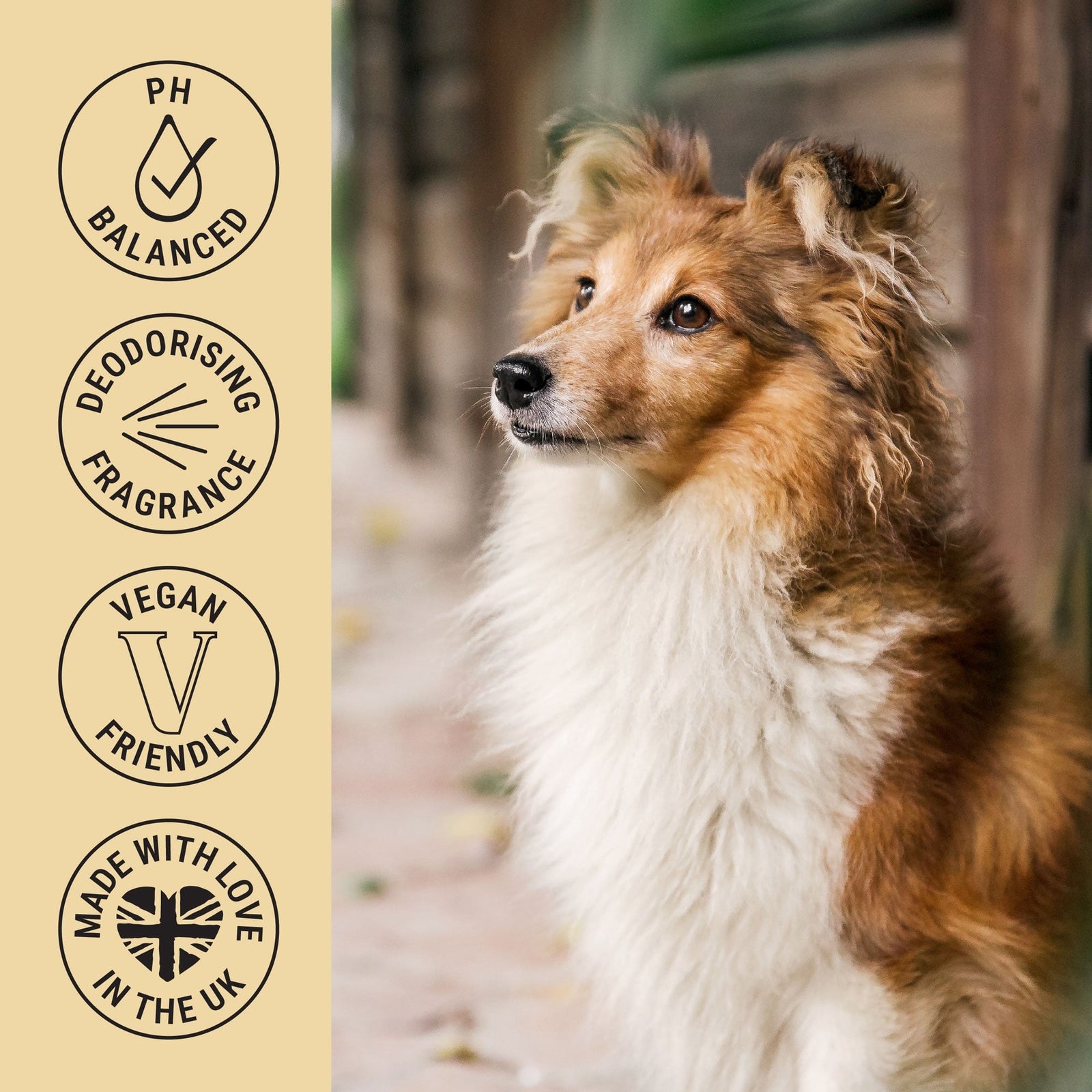 My Dog Spa Deodorising & Conditioning Dog Fragrance Spray 100ml – Diva