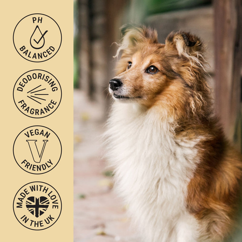 My Dog Spa Deodorising & Conditioning Dog Fragrance Spray 100ml – Diva