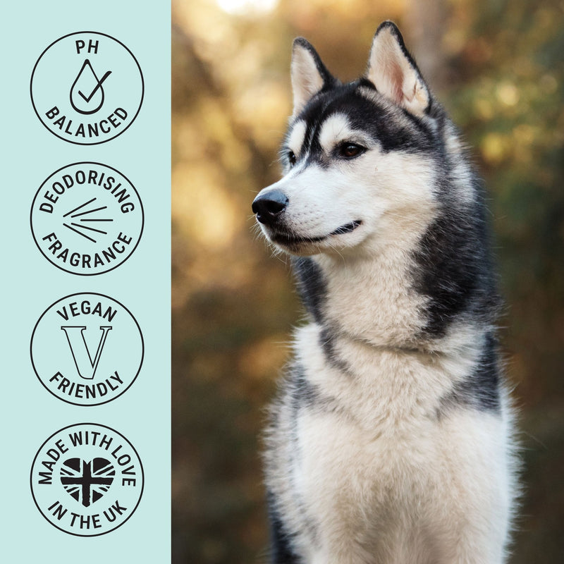 My Dog Spa Deodorising & Conditioning Dog Fragrance Spray 100ml – Storm