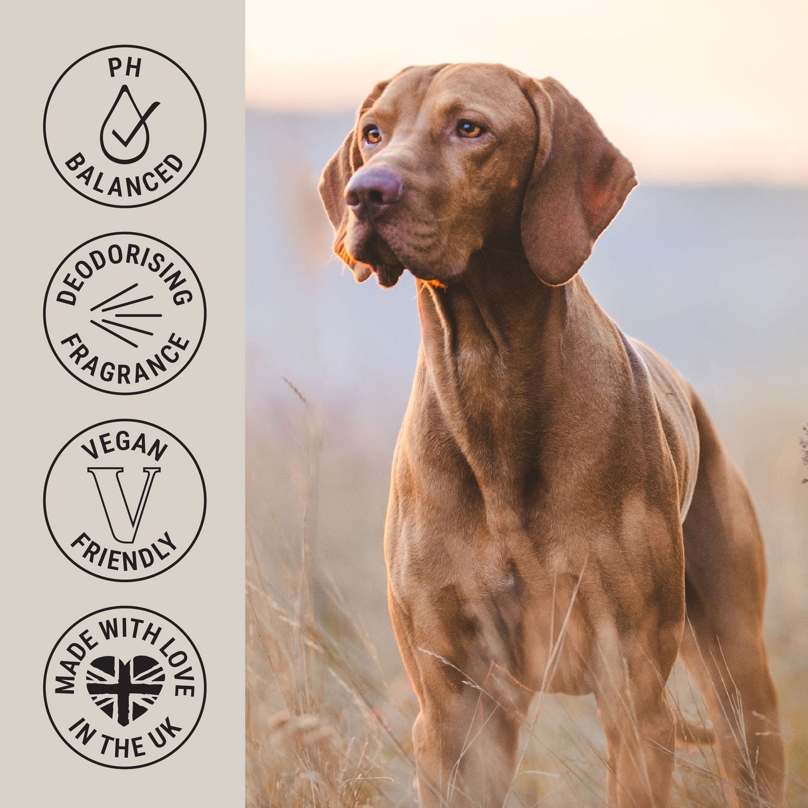 My Dog Spa Deodorising & Conditioning Dog Fragrance Spray 100ml – Spirit