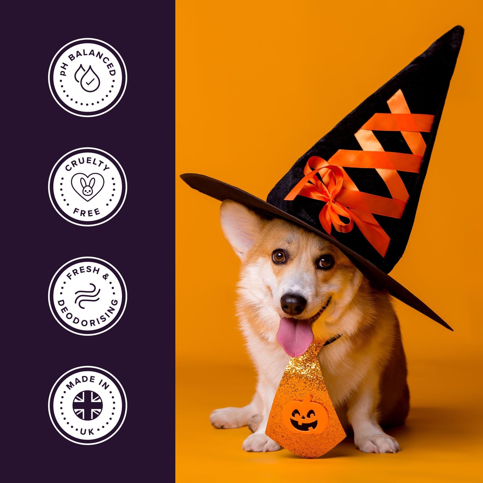 Groomers Limited Edition Hocus Pocus Shampoo