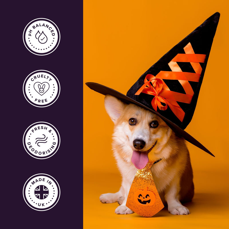 Groomers Limited Edition Hocus Pocus Shampoo