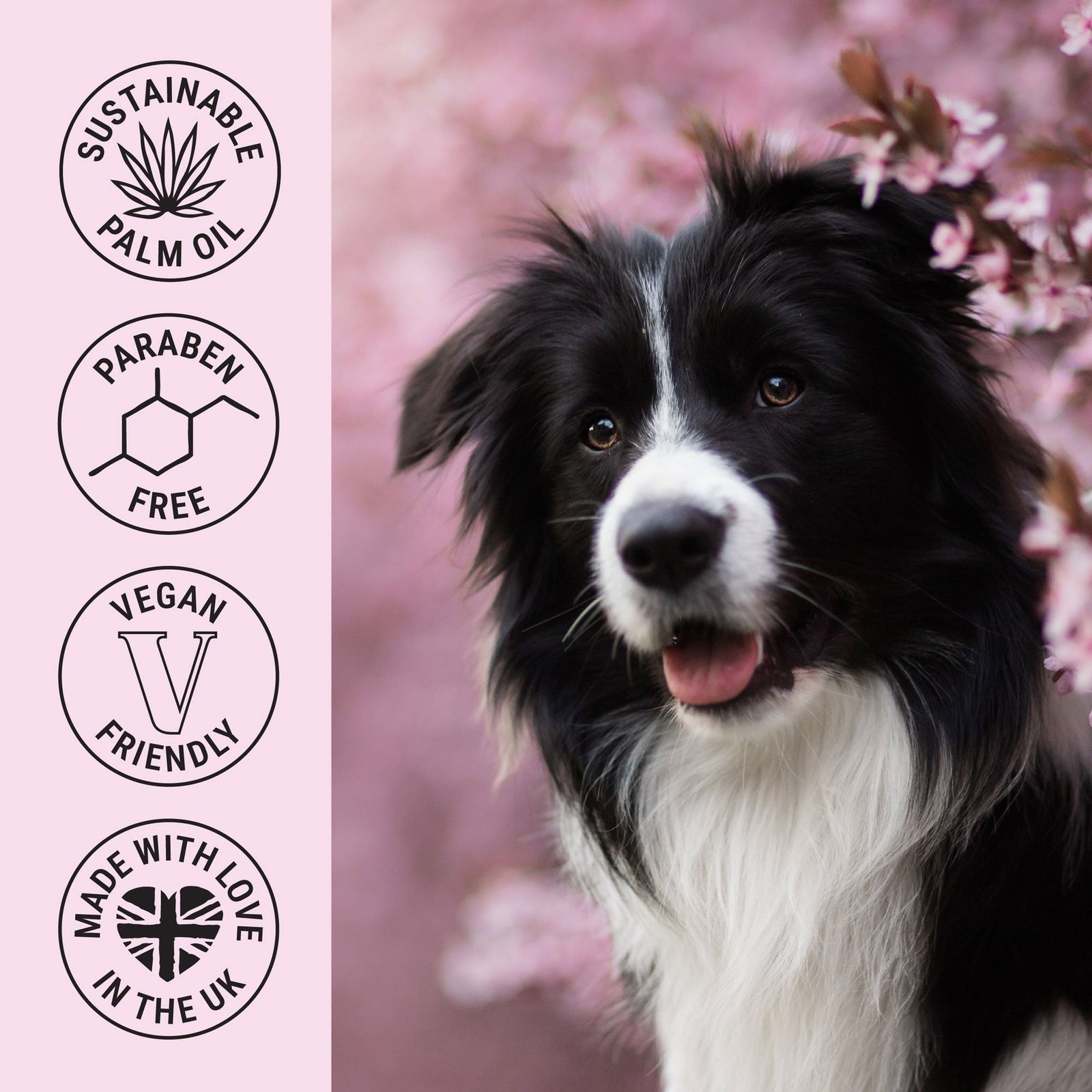 My Dog Spa Shampoo 250ml - Fleur