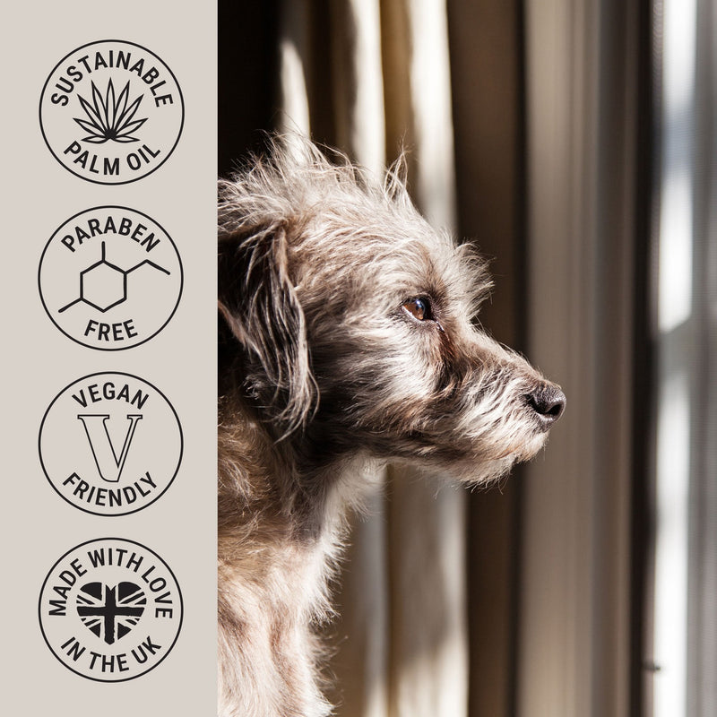 My Dog Spa Shampoo 250ml - Spirit