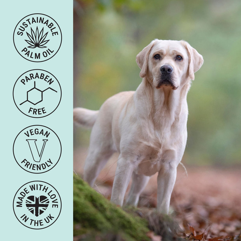 My Dog Spa Shampoo 250ml - Storm
