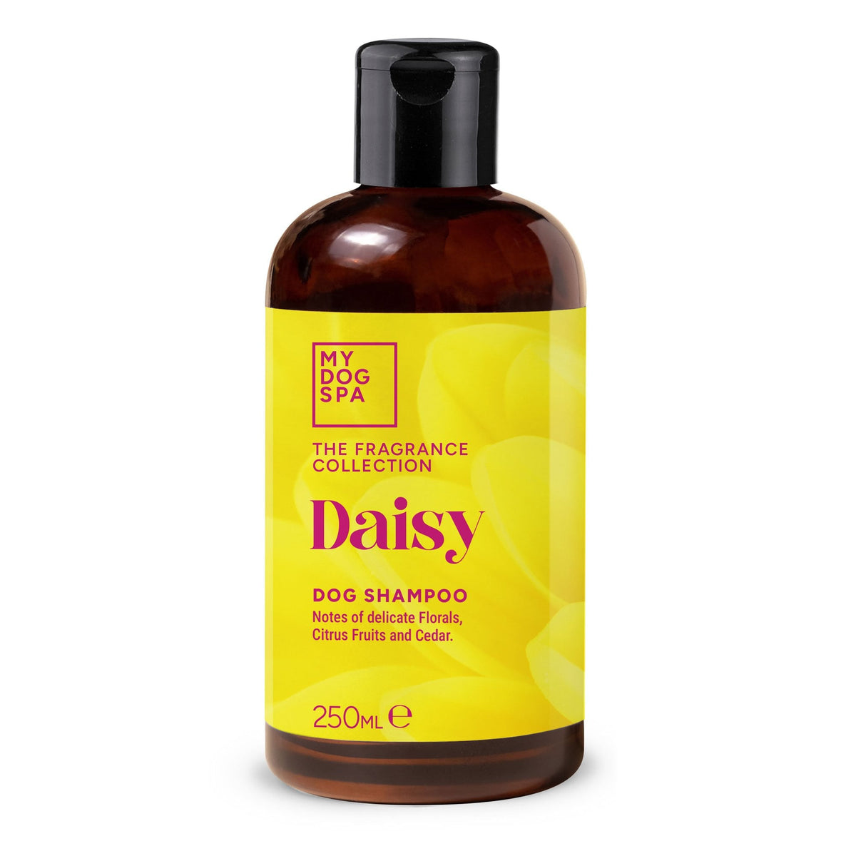 Shampoo Daisy