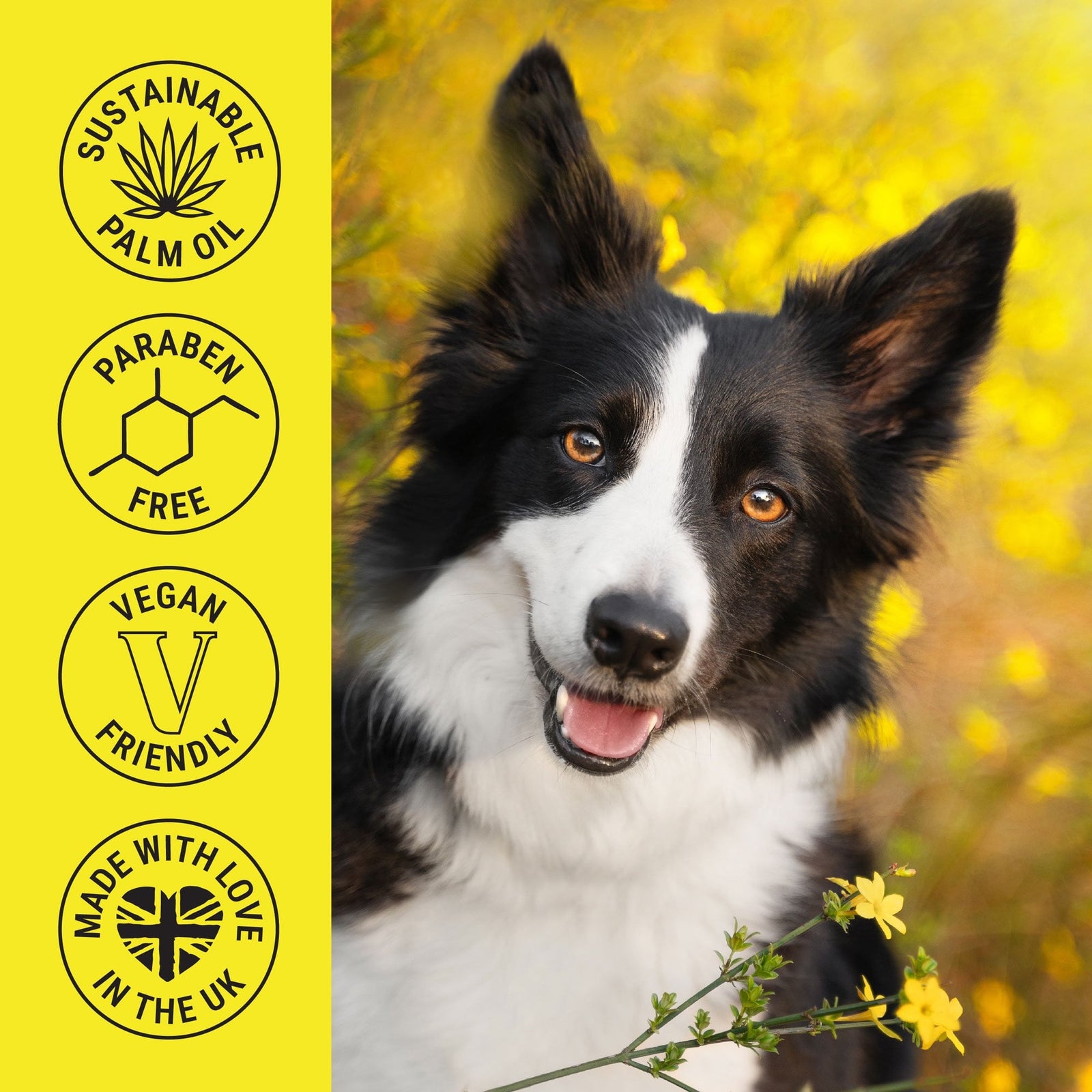 My Dog Spa Shampoo 250ml - Daisy
