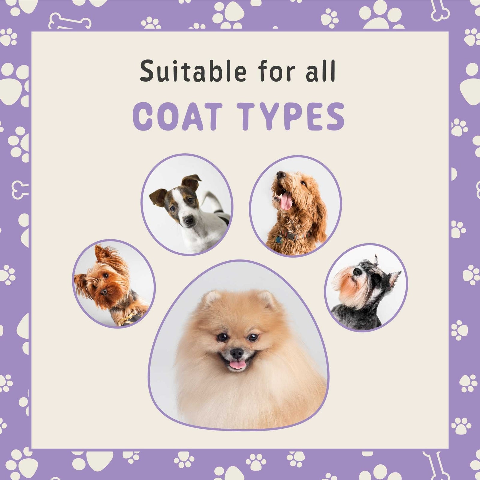 Groomers Powdery & Gentle Fragrance Spray