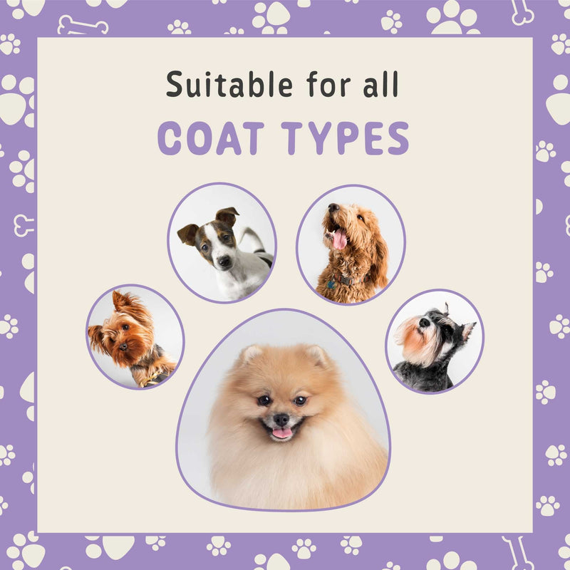 Groomers Powdery & Gentle Dog Shampoo